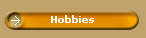 Hobbies