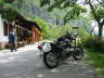 alla Soffia